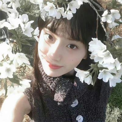 他来自江湖粤语